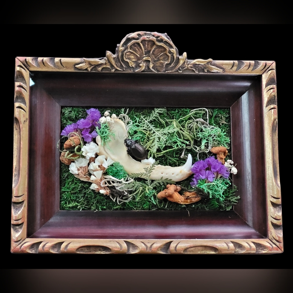 "Forest Floor" Framed Nature Piece